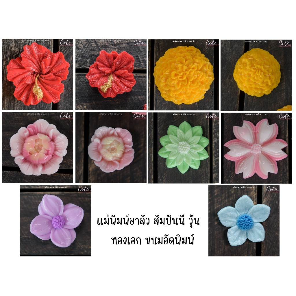 พร้อมส่ง/ แม่พิมพ์ อาลัว สัมปันนี วุ้น แม่พิมพ์ฟองดอง ดาวเรือง ชบา พุดตาน x27 x29 x31 x32 x35 x36 x25 x33 x34 (เลือกแบบ)