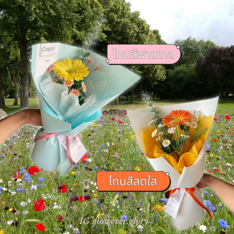 ❗️พร้อมส่ง❗️ช่อดอกไม้ เยอบีร่าเดี่ยว(แซมเดซี่)  | Blossom เพิ่มการ์ดข้อความฟรี! – โปรปัง