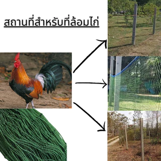 ตาข่าย อวนล้อมไก่ กันนก รั้วตาข่าย ตะข่ายล้อมไก่ ตาข่ายล้อมไก่ อวน ดาง ล้อมไก่ อเนกประสงค์ กรงไก่ เลี้ยงไก่ กันงู กันนก