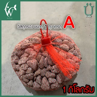 หินภูเขาไฟ ( ถูกที่สุด ดีที่สุด )