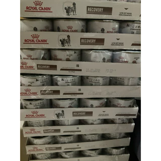 โปรดอ่านก่อนสั่ง🔥 Sale Recovery Royal canin อาหารสัตว์ป่วย สำหรับหมาและแมว