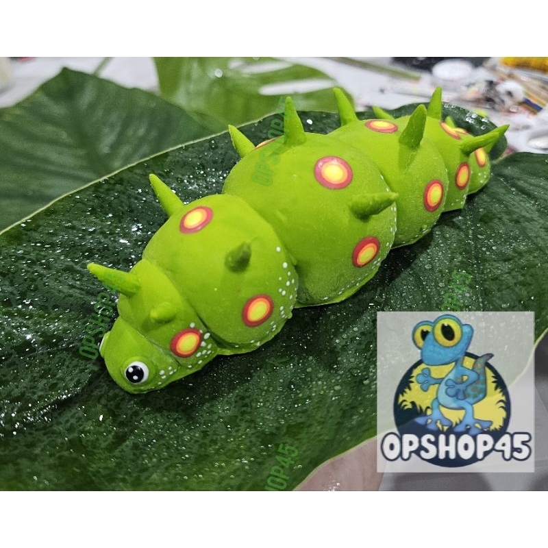 หนอนหนาม🐛ตัวนิ่ม น่ารัก