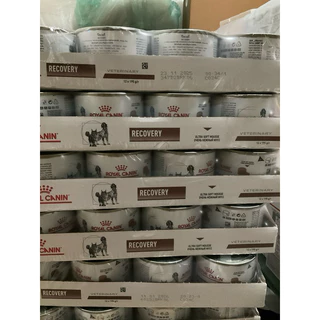 โปรดอ่านก่อนสั่ง🔥ยกถาด12กระป๋อง🔥 Recovery Royal canin อาหารสัตว์ป่วย สำหรับหมาและแมว