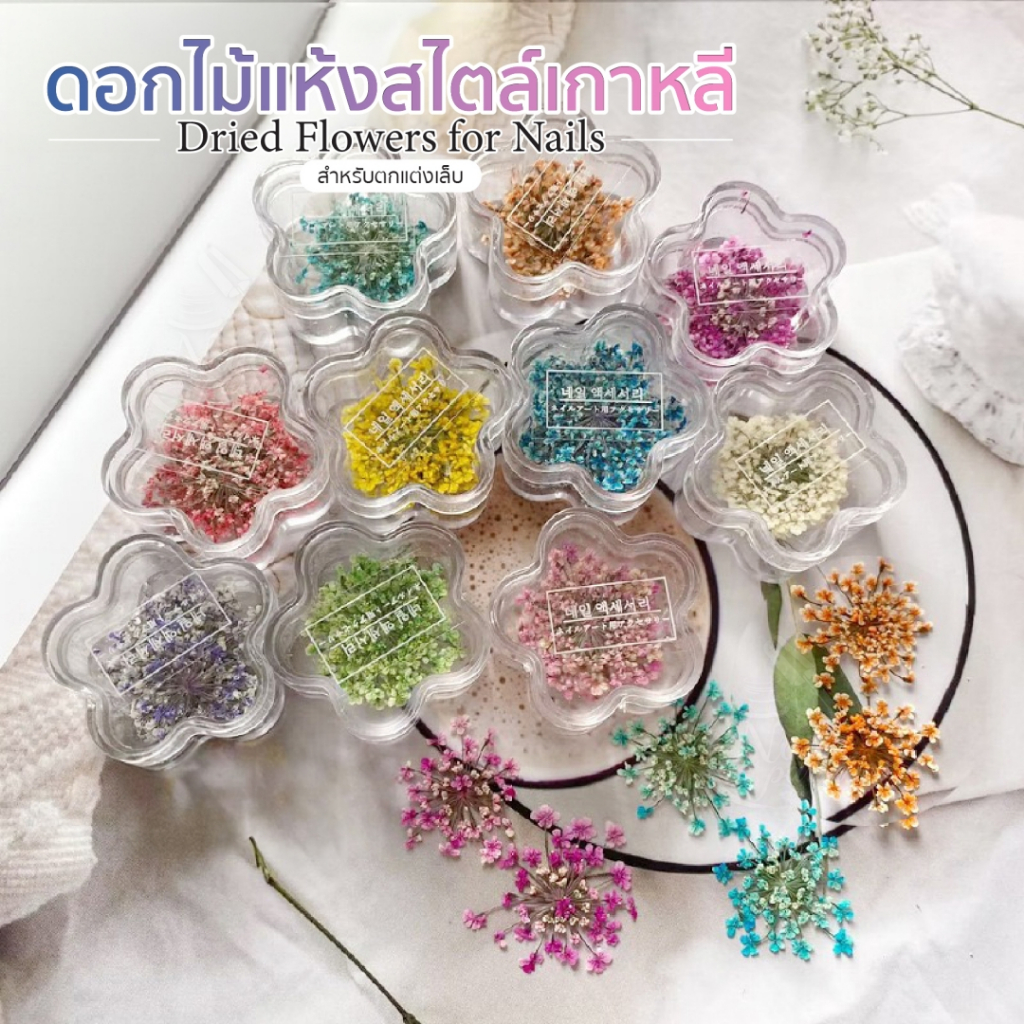Majikku ดอกไม้แห้ง สไตล์เกาหลี แต่งเล็บ Korean Style Dried Flowers Nail DIY สำหรับตกแต่งเล็บ