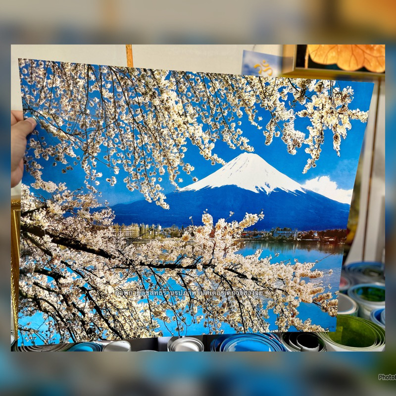 ภาพโปสเตอร์ ไม่มีกาวในตัว ไม่ใช่สติ๊กเกอร์หรือวอลเปเปอร์ มีขนาด 40x50 cm.และ 60x89 cm. รูปภาพภูเขาฟูจิญี่ปุ่นดอกซากุระ