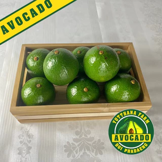 2กิโลกรัม)อโวคาโด้ พันธุ์ บูท7 ใหญ่ 3-4ลูก/โล พร้อมส่งทั่วไทย