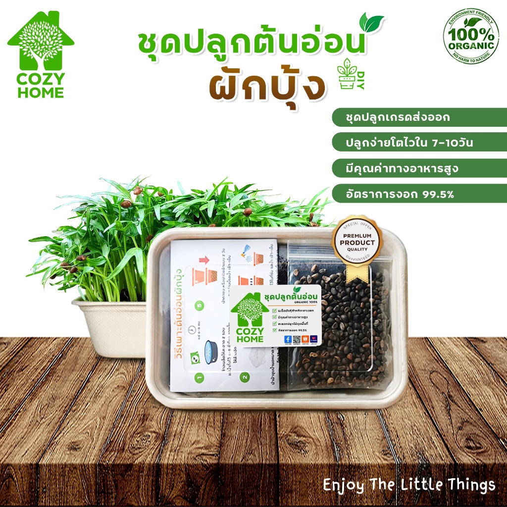 ชุดปลูกต้นอ่อนผักบุ้ง ต้นอ่อนออร์แกนิก Microgreen สำหรับคนรักสุขภาพ ชุดปลูกไมโครกรีนปลูกง่ายโตไว