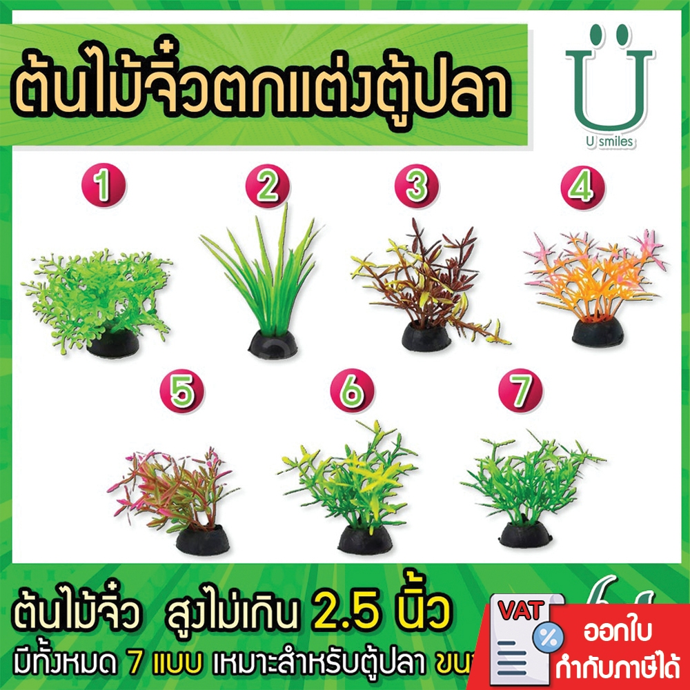 ต้นไม้จิ๋ว 10 บาท ไว้ตกแต่งตู้ปลา (ชุดที่ 2) (ถูกที่สุด ดีที่สุด ) (2)