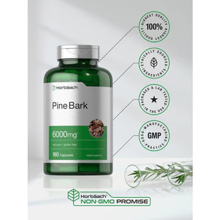 Horbaach Pine Bark Extract 6000 mg, 180 Capsules (No.3119) ยอดขายอันดับ 1