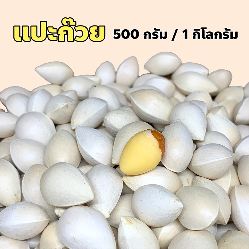 แปะก๊วยมีเปลือก ปริมาณ 500 กรัม 1 กิโลกรัม ธัญพืชเต็มเมล็ด สดและเป็นธรรมชาติ