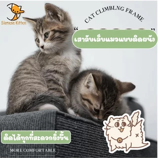 🐱พรมลับเล็บแมว ป้องกันรอยขีดข่วน มีกาวในตัว แผ่นลับเล็บแมว สำหรับรองเฟอร์นิเจอร์ ตัดตามที่คุณต้องการ สิ่งประดิษฐ์ตลกๆ🐱