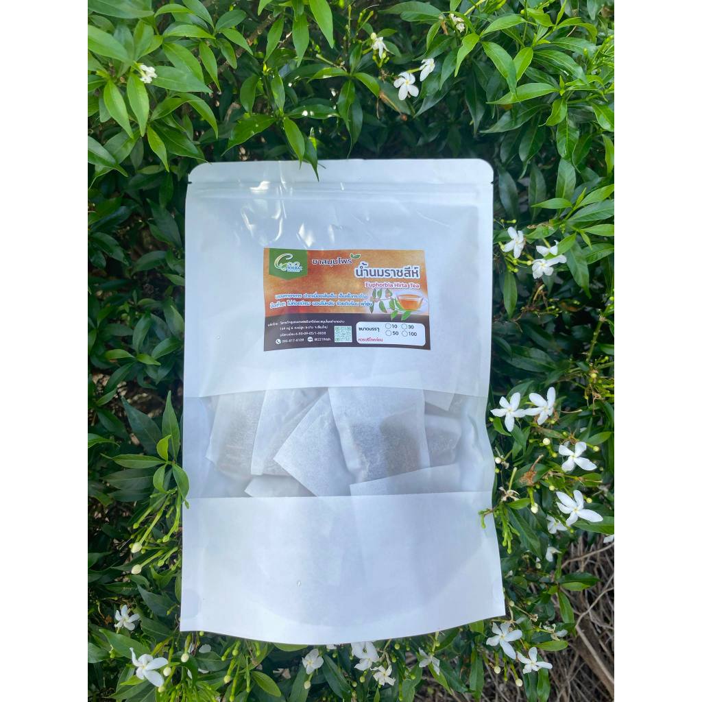 ชาน้ำนมราชสีห์ น้ำนมราชสีห์ Garden spurge ขนาด 50 ซองชา บรรเทาอาการน้ำในหูไม่เท่ากัน เวียนหัว บ้านหมุน ช่วยกระตุ้นระบ...