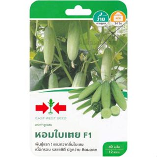 เมล็ดแตงกวาลูกผสม หอมใบเตยF1