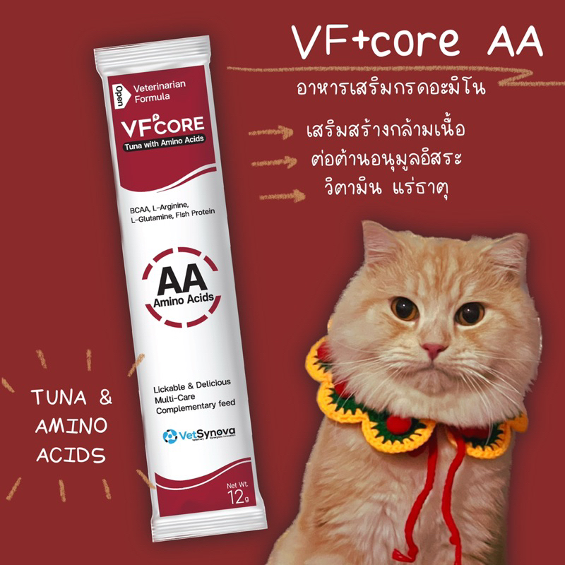 VFcore วิตามินบำรุงแมว ขนมแมวเลีย *แบบซอง*