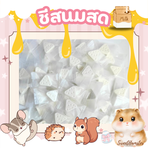 ชีส สำหรับหนูแฮมสเตอร์