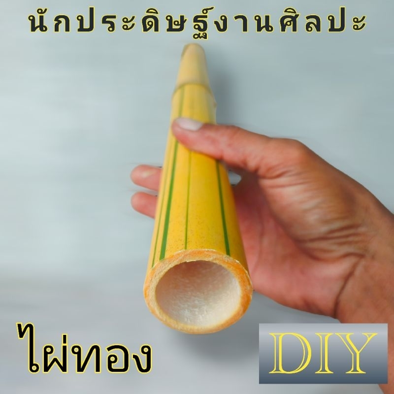 ไม้ไผ่ ไผ่ทอง DIY ไม้ไผ่ ไผ่สีสุก นักประดิษฐ์งานศิลปะ ตกแต่งบ้าน