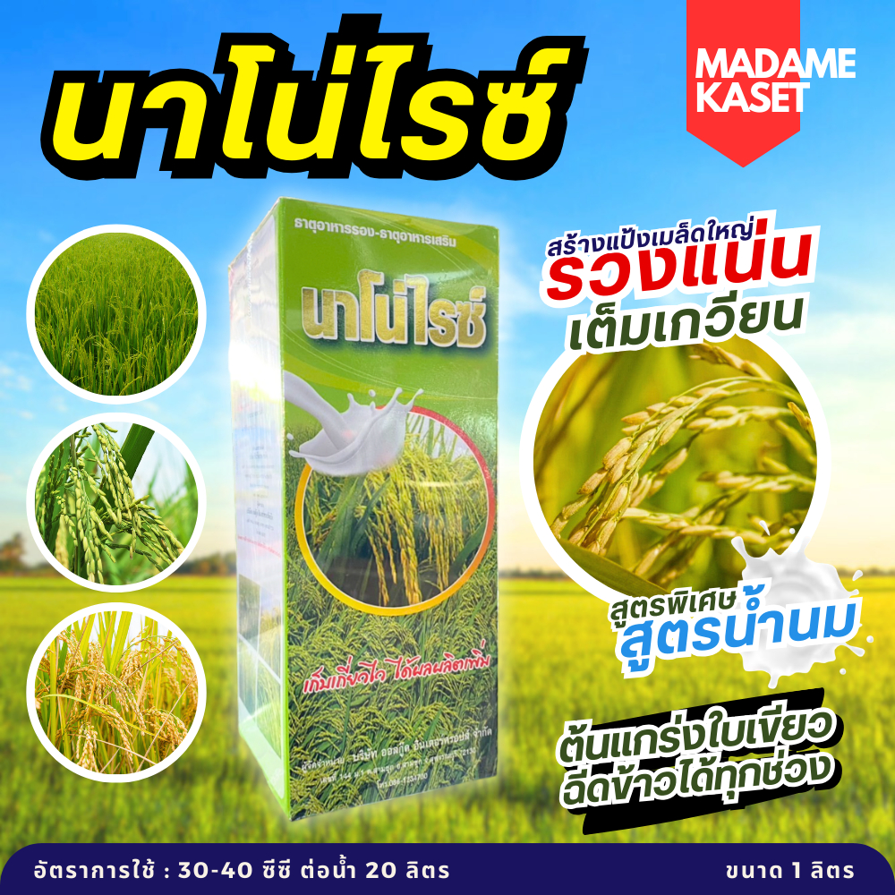 นาโน่ไรซ์ ฮอร์โมนข้าว สูตรพิเศษน้ำครีม สูตรน้ำนม ฉีดข้าวได้ทุกช่วงในขวดเดียว ต้นแกร่ง ใบธงเขียว ระแง้ถี่ รวงแน่น 1 ลิตร