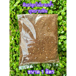 ดินปลูก ไม้อวบนำ้เท่านั้น ขนาดบรรจุ 1 ลิตร