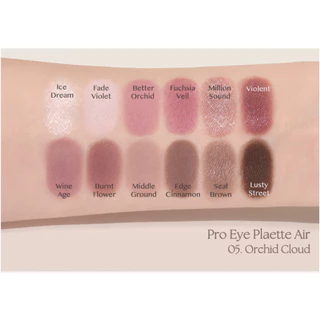 CLIO PRO EYE PALETTE AIR อายแชโดว์สีแน่น เนื้อนุ่ม เบาสบาย 12 สี