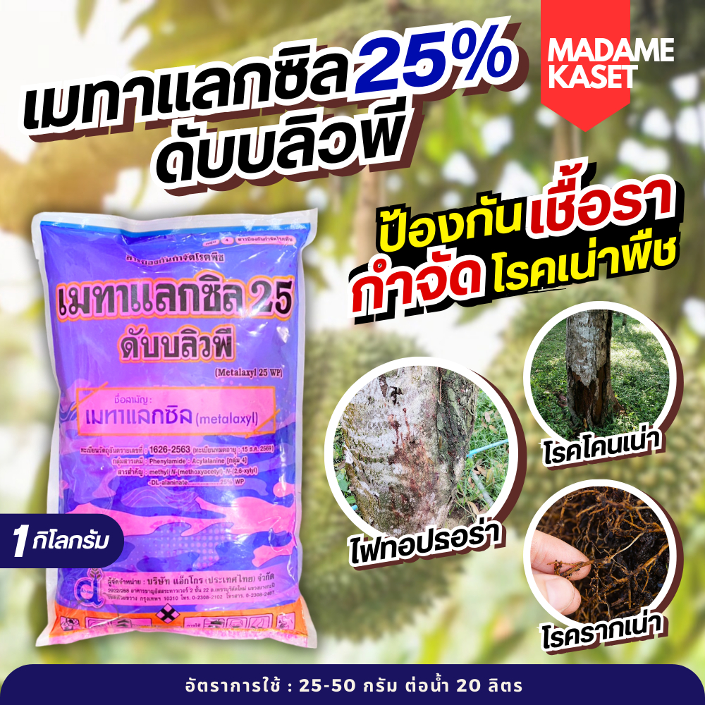 เมทาแลกซิล ดับบลิวพี 25% เนื้อชมพู ป้องกันโรคเชื้อราในพืช ไฟทอปธอร่า ราน้ำค้าง รากเน่า โคนเน่า 1 กิโลกรัม