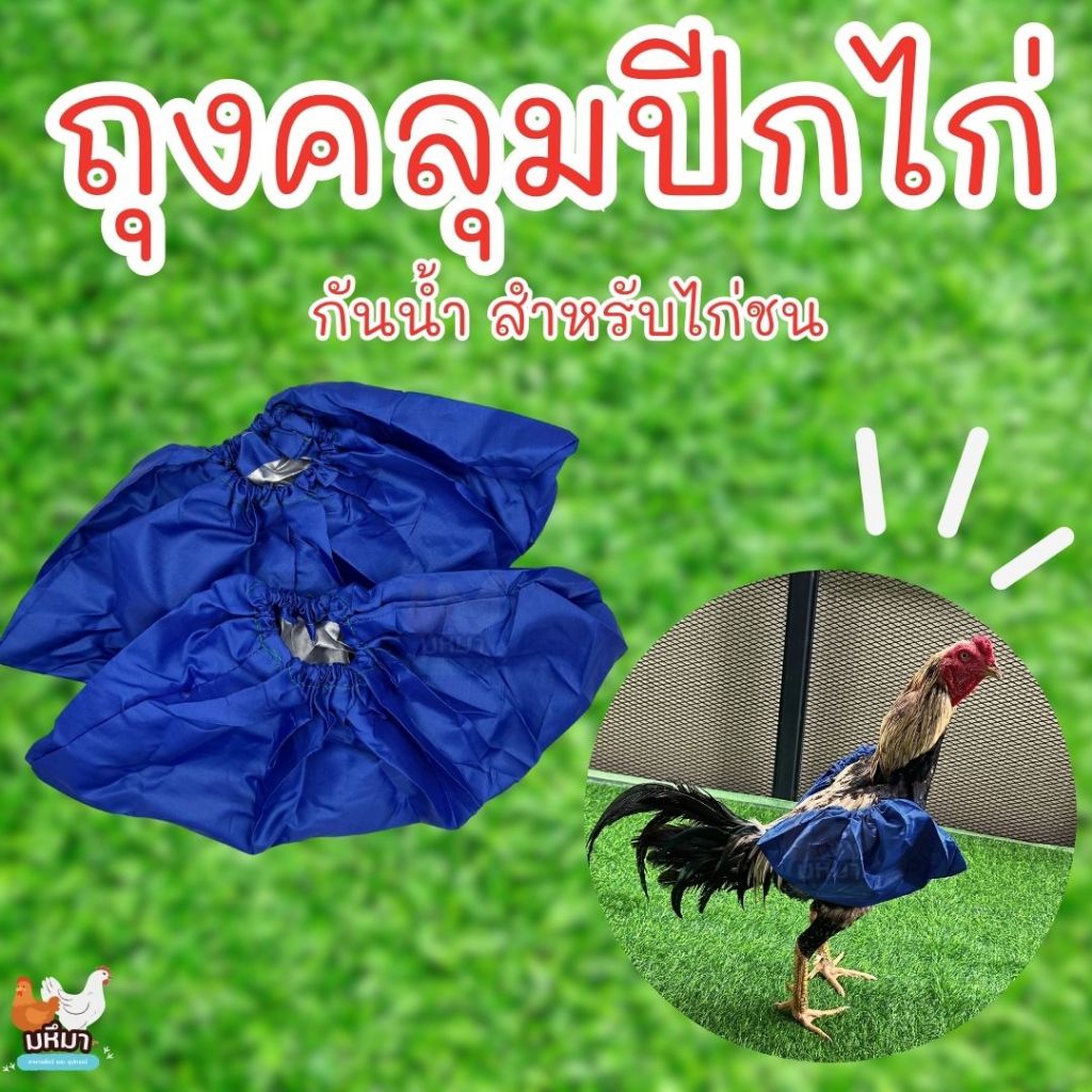 ถุงคลุมปีกไก่ ถุงกันกันน้ำ สำหรับไก่ชน