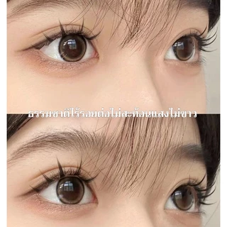 Special Adhesive for Eyelash Extension False Eyelash Glue กาวสำหรับต่อขนตา หรือ กาวสำหรับขนตาปลอม
