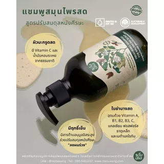 แชมพูสมุนไพรสด สูตรปรับสมดุลหนังศีรษะ ลดผมร่วง (FRESH HERBS SHAMPOO FOR BALANCING SCALP) มาบเอื้อง