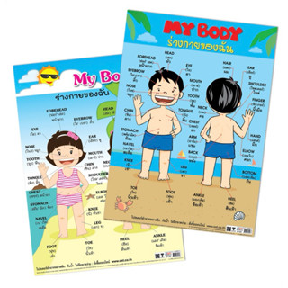 โปสเตอร์ความรู้ ร่างกายของฉัน My Body EP-507 ขนาด 50*70 ซม. …