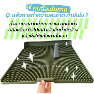 พร้อมส่ง ถาดฉี่สุนัข นวัตกรรมใหม่ ไม่ต้องใช้แผ่นซับอีกต่อไป itemใหม่ ที่ไม่ควรพลาด