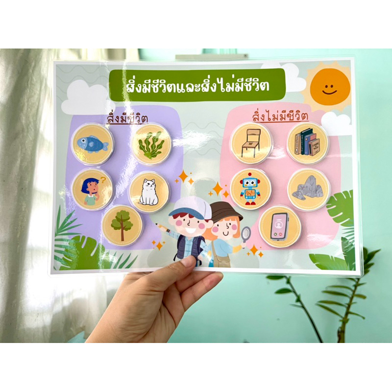 สิ่งมีชีวิตและสิ่งไม่มีชีวิต สื่อการสอนวิทยาศาสตร์