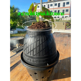 ถังหมักเศษอาหาร (Green Cone) ถังกำจัดขยะเศษอาหารในครัวเรือน …