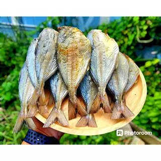 อาหารทะเลแปรรูป "ปลาสีกุน " น้ำหนัก 1 กิโลกรัม และ 500 กรัม สินค้าไม่พร้อมทาน สินค้าขายดีมาก มีส่งแบบเก็บเงินปลายทาง