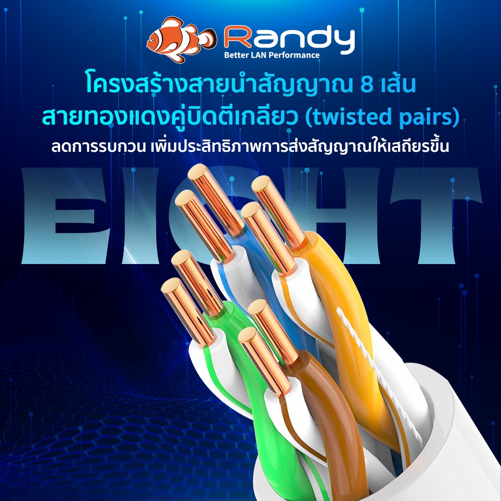 RANDY [CAT5E-100] สายเคเบิลอีเธอร์เน็ต ความเร็วสูง รองรับ 100Mbps -100เมตร สำหรับภายในอาคาร สายสีขาว