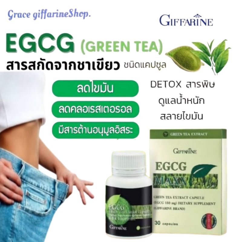 ชาเขียว ลดน้ำหนัก กิฟฟารีน อีจีซีจี สลายไขมัน ลดไขมันในเลือด EGCG Green Tea Extract Giffarine