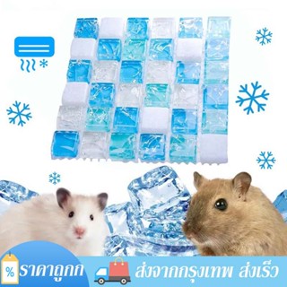 ที่นอนเจลเย็น แผ่นหินเย็น ที่นอนเย็น แผ่นเจลเย็นหนู สำหรับหน…