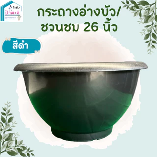 อ่างบัว กระถางชวนชม ขนาด 26 นิ้ว