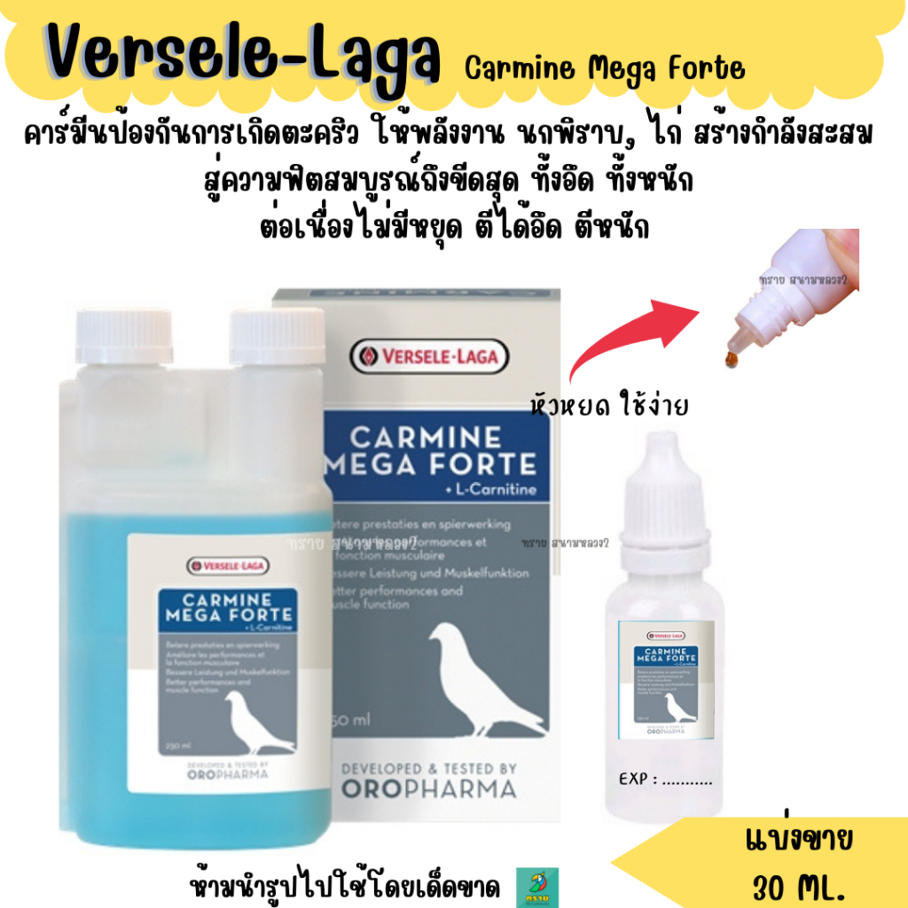 Carmine Mega Forte ป้องกันการเกิดตะคริว ให้พลังงาน นกพิราบ, ไก่