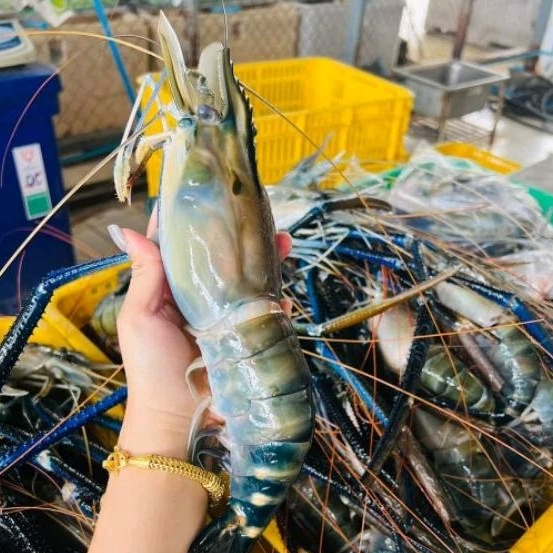 กุ้งแม่น้ำไซส์จัมโป้ 3-5ตัวโล กุ้งตัวใหญ่ๆ 1แพ็คมี3-5ตัว น้ำหนัก1กิโลกรัมน้ำหนักอาจหายนิดหน่อยนะครับกุ้งสดๆและนำไปแช็ง