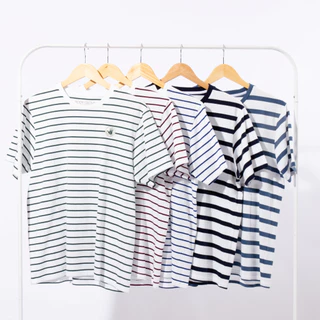 BODY GLOVE [ มีให้เลือก 16 สี ] Basic Stripe T-Shirt เสื้อยืดแขนสั้น รวมสี 2024