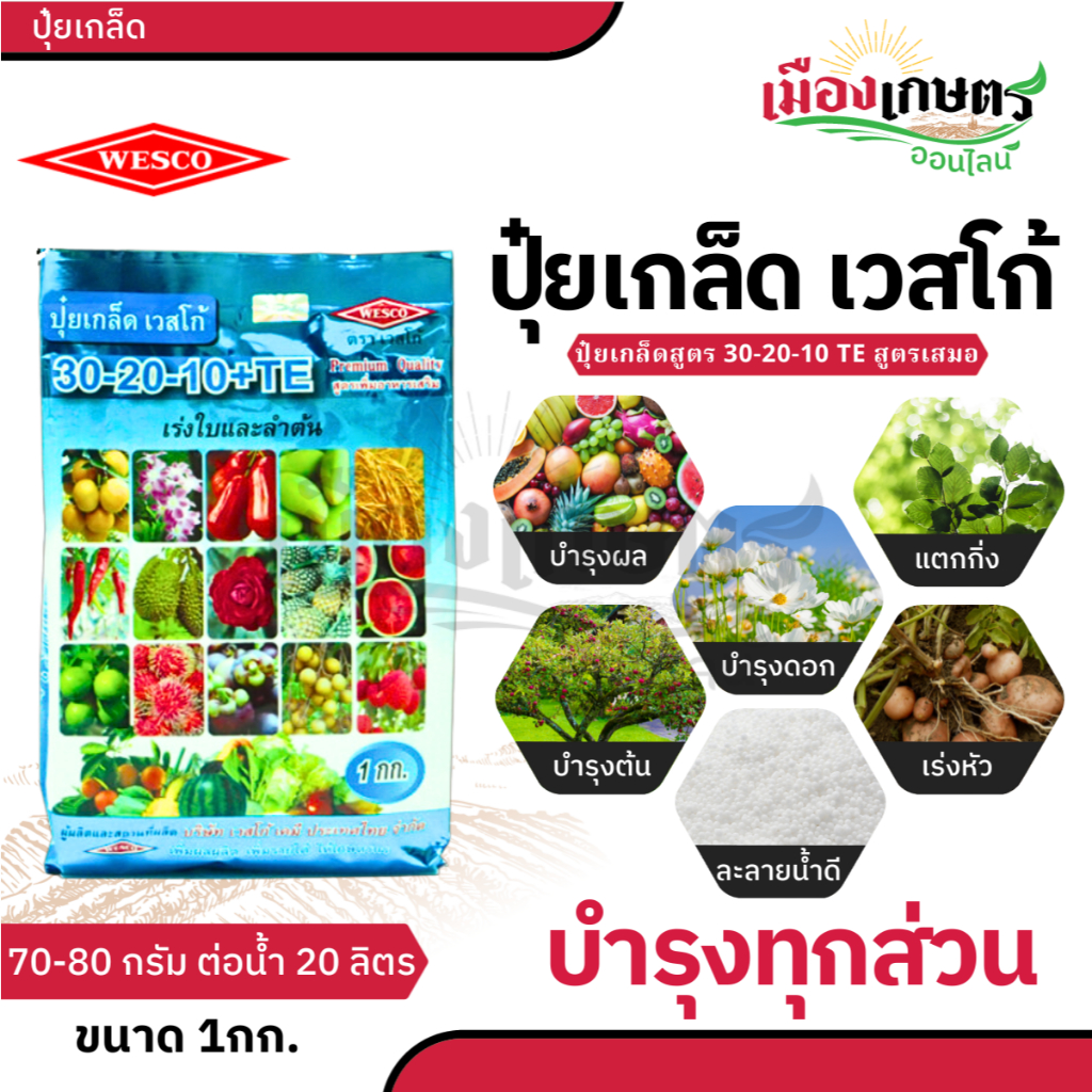 ปุ๋ย ปุ๋ยเกล็ด เวสโก้ ปุ๋ย เกล็ด 6 32 32 20 20 20 21 21 21 20 10 30 TE ขนาด 1 กิโลกรัม ฮอร์โมนพืช เสริมการเจริญเติบโต - รูปที่ 2