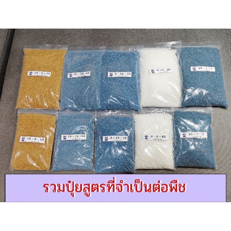 รวมปุ๋ยสูตรที่จำเป็นต่อพืช มีปุ๋ย16-6-16, 8-24-24 , 0-0-60 , 25-7-7, 13-13-21, 19-9-19แบ่งขาย2ขนาด 500กรัมและ1กิโลกรัม