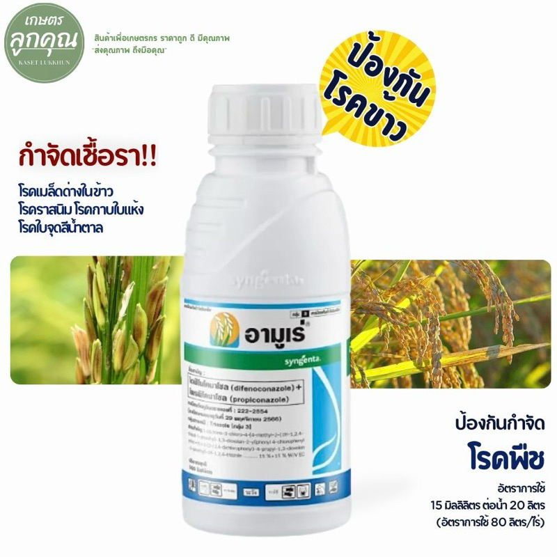 อามูเร่ 500 ซีซี.(ไดฟีโนโคนาโซล+โพรพิโคนาโซล) ป้องกันกำจัด โรคกาบใบแห้งของข้าว โรคใบจุดสีน้ำตาล
