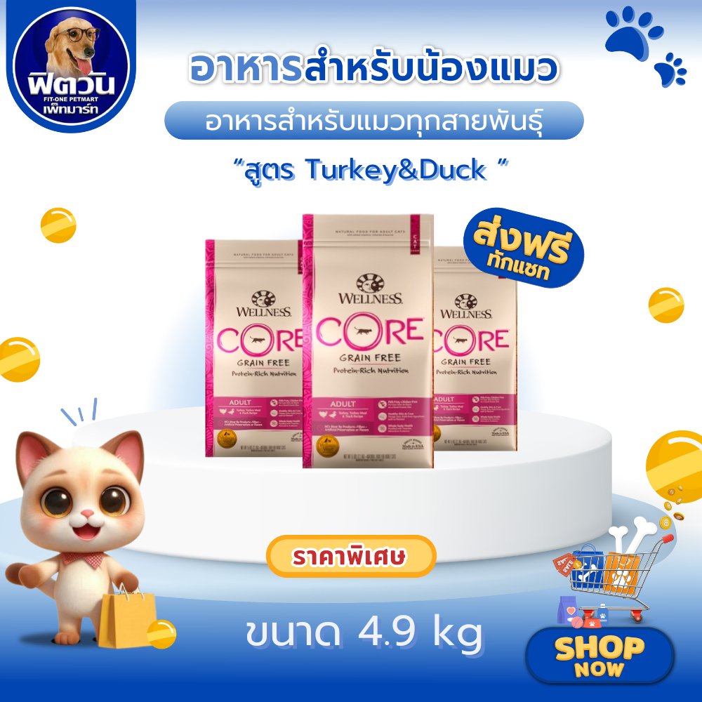 WELLNESS CORE Turkey&Duck อาหารเม็ด สำหรับแมวทุกสายพันธุ์ทุกช่วงวัย สูตรไก่งวงและเป็ด ขนาด 4.9 กก.{อาหารแมวเม็ด}