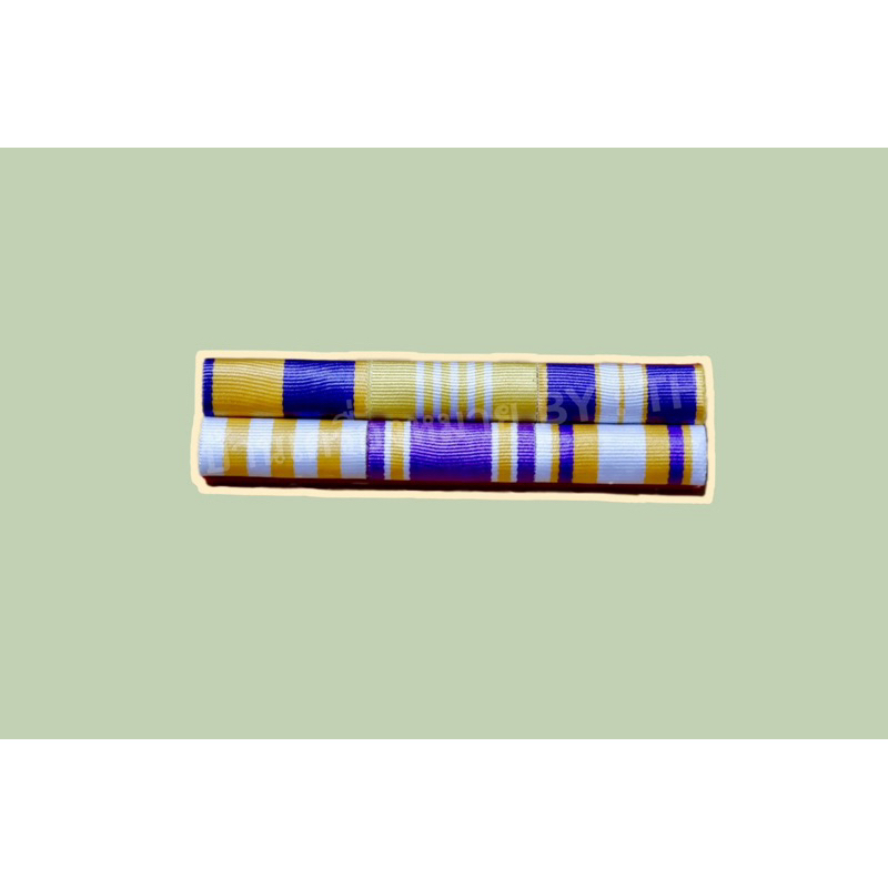 แพรแถบข้าราชการทั่วไป แบบใหม่ล่าสุด - รูปที่ 2