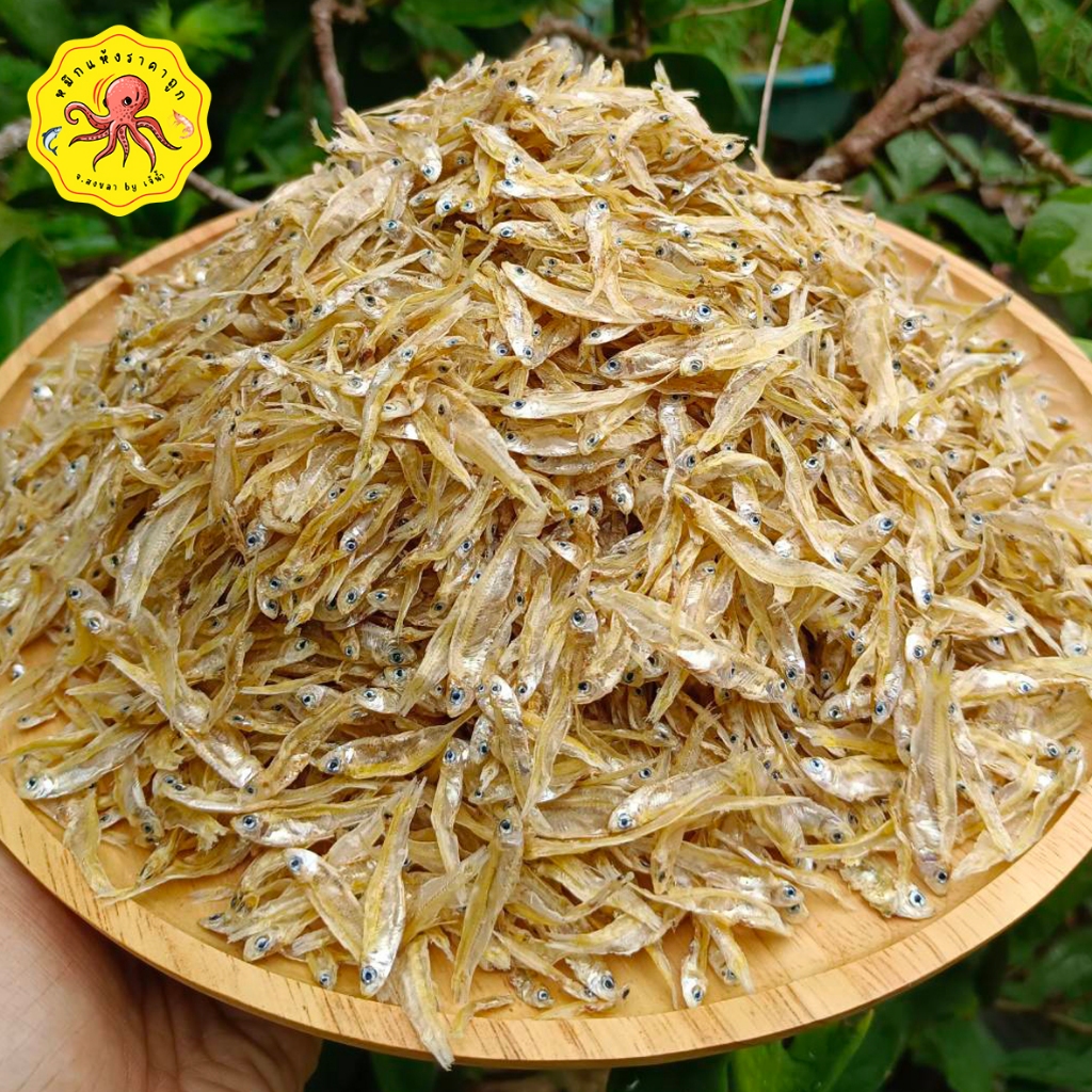 ปลาลูกลูกแบร่แก้ว  ปลา2น้ำ ขนาดบรรจุ500กรัม