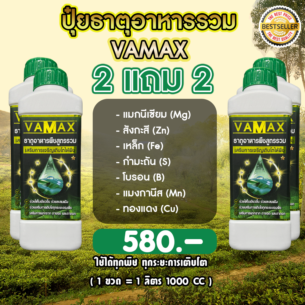 VAMAX (2แถม2) ปุ๋ยธาตุอาหารรวม เร่งการเจริญเติบโตของพืชทุกชนิด ใบเขียว แตกยอด แก้ใบซีดใบด่าง (V4)