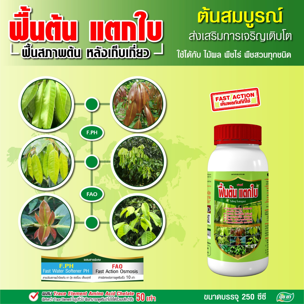 เร่งแตกใบ แตกกิ่ง ป้องกันต้นโทรม ฟื้นต้น บำรุงต้น ฮอร์โมนพืช อาหารเสริมสำหรับพืช ปุ๋ยยา 250 ซีซี