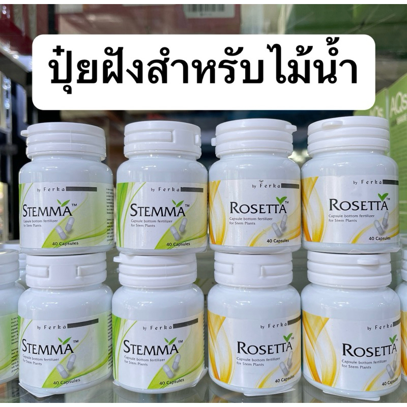 Ferka Stemma, Rosetta 40แคปซูล ปุ๋ยฝังสำหรับไม้น้ำ