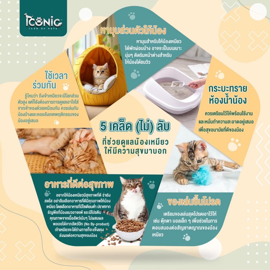 ✅ส่งฟรี [ใช้โค้ดส่งฟรี Xtra 49.- ได้เท่านั้น]อาหารแมวแบ่งขาย 5 กิโล Maxima แม๊กซิม่า / Iconic ไอโคนิค / Oliver โอลิเวอร์ - รูปที่ 7