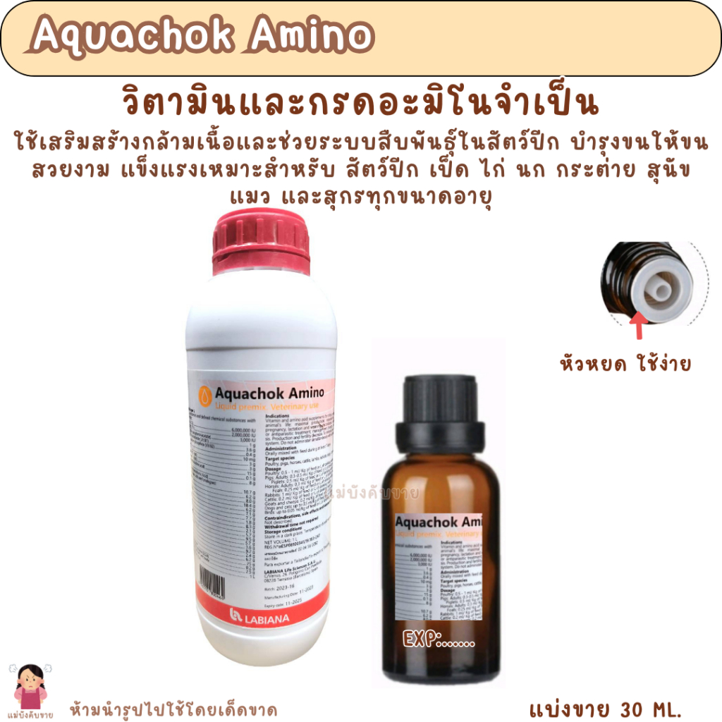 Aquachok Amino (แบ่งขาย 30 ML.) วิตามินและกรดอะมิโนจำเป็น